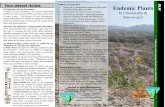 Brochure Endemic Plants - Bureau of Land Management · 2017-05-10 · and pinkish-purple flowers which bloom between March and April. Photos: M. Masser, B. Wood (Xylorhiza cognata)