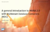 A general introduction to HANA 2.0 with Multitenant ... 3...The feature "SAP HANA multitenant database containers" (or, "MDC") was first introduced starting with SPS09. For B1H, will