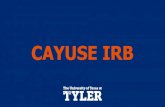 CAYUSE IRB · 2020-03-06 · Submission” button will appear at the bottom. *Please note that you should only click on this button after all PIs, Co-PIs, and/or the faculty advisor
