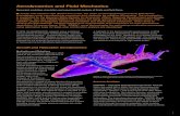Aerodynamics and Fluid Mechanics - TUM · 1 Aerodynamics and Fluid Mechanics Numerical modeling, simulation and experimental analysis of fluids and fluid flows n Jointly with Oerlikon