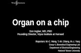 Organ on a chipcc.ee.ntu.edu.tw/~ultrasound/belab/midterm_oral... · Organ on a chip Don Ingber, MD, PhD Founding Director, Wyss Institute at Harvard Reportors: W.-C. Wang, T.-W.