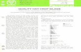 QUALITY HAY CROP SILAGE - Plant Agriculture · 2014-12-31 · QUALITY HAY CROP SILAGE (Replaces Factsheet "HeatDamage in Hay-CropSilage, " January 1976) S.G. Cressman, Live Stock
