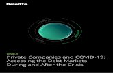 COVID-19 Private Companies and COVID-19: Accessing the ......Partner, Debt & Capital Advisory Deloitte Private, Private Equity Lead bfennelly@deloitte.ie +353 1 4173947. COVID-19: