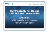 3GPP security hot topics: LTE/SAE and Common IMS...3rd ETSI Security Workshop - Sophia-Antipolis, 15-16 January 2008 20 World Class Standards SAE: Non-Roaming Architecture for 3GPP