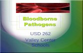 Bloodborne Pathogensusd262.ss7.sharpschool.com/UserFiles/Servers/Server... · maintenance (plumbers); food service workers; bus drivers who transport developmentally disabled students