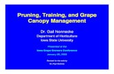 Pruning, Training, and Grape Canopy Managementmnhardy.umn.edu/sites/mnhardy.umn.edu/files/pruning... · 2016-01-11 · Pruning and Training of Grapevines • The culture of grapes