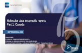 Molecular data in synoptic reports Part 1: Canadacpo-media.net/ECP/2019/Congress-Presentations/1510... · Synoptic Expansion 2010-2012: Expanded synoptic reporting to 63 disease sites,