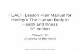 Herlihy’s The Human Body in Health and Illness th edition€¦ · Title: Chapter 7 Body Systems Author: Linda Honeycutt Created Date: 6/5/2016 12:58:54 AM