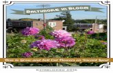 How to Grow and Sell Cut Flowers on Vacant Land...How to Grow and Sell Cut Flowers on Vacant Land Established 2016. Baltimore City’s Growing Green Initiative created the Flower Farming
