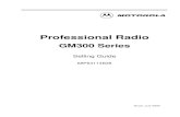 GM300 Series Professional Mobile Radio · What product ranges are in the GM Series of Professional Radios ? What products are in the GM300 Series ? Who can benefit from the GM300
