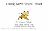 Locking-Down Apache Tomcatschultz/ApacheCon NA... · Server Software – Application server (Tomcat) – Application (your fine web application) Physical (Quick) Site Room ... –