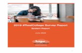2019 #REALCOLLEGE SURVEY RESULTS HOPE... · Source: 2019 #RealCollege Survey Note: Results with fewer than 10 respondents are not shown in the table above. Survey questions about