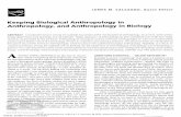 Keeping Biological Anthropology in Anthropology, …ppga.propesp.ufpa.br/ARQUIVOS/2018/Calcagno, J. M. 2003.pdfpology, and anthropology needs biological anthropology. [Keywords: biological