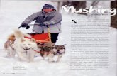 Maryland Sled Dog Adventures LLC · most resilient sled dogs used for dog sled racing, Alaskan Huskies, are actually medium-sized mixed breed dogs. Any dog over approximately 30 pounds
