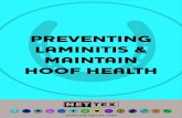 PREVENTING LAMINITIS & MAINTAIN HOOF HEALTH...HOOF HEALTH COMPLETE EQUINE CARE Laminitis is an extremely painful, debilitating condition that can be fatal. Traditionally it was accepted