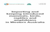 Importing and keeping introduced mammals, birds, …...Importing and keeping introduced mammals, birds, reptiles and amphibians in Western Australia By Marion Massam and Win Kirkpatrick,