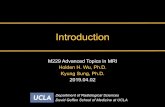 M229 Lecture1 Intro · MRI Research Technical Developments Physics Contrast mechanisms Mathematical models Hardware Data acquisition Data reconstruction Data processing Quantitative