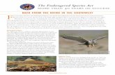 The Endangered Species Act more than 40 years of success · The Endangered Species Act: BACK FROM THE BRINK IN THE SOUTHWEST 2 Whooping Crane First listed under an earlier version