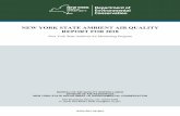 2018 Air Quality Report · 2020-01-23 · For current Air Quality Index (AQI) Forecast and Current Observations for New York State, please go to the NYSDEC’s AQI webpage. 6 5 8