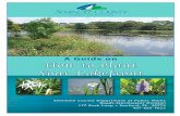 Seminole County, Florida - A Guide on How to Plant …...Florida Fish and Wildlife Conservation Commission (FWC) Aquatic Plant Management guidelines allow homeowners to clear non-woody