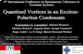 Quantised Vortices in an Exciton- Polariton Condensate · Observation of vortices in quantum fluids zVarious species can be found : zFree vortices thermally activated (e.g. Helium