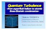 Quantum Turbulenceempslocal.ex.ac.uk/.../staff/adgilber/euro/talk.tsubota.pdf · 2007-09-19 · A quantized vortex is a vortex of superﬂow in a BEC. Any rotational motion in superﬂuid