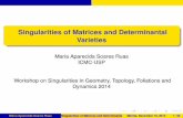 Singularities of Matrices and Determinantal Varieties · 2016-08-16 · Introduction Introduction We review basic results on determinantal varieties and show how to apply methods