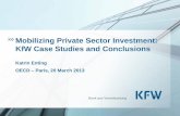 Mobilizing Private Sector Investment: KfW Case Studies and … March 2013 Katrin Enting.pdf · 2016-03-29 · Mobilizing Private Sector Investment: KfW Case Studies and Conclusions