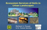Ecosystem Services of Soils in Urban Landscapes · Soil Ecosystem Services? “NATURAL EXPERIMENTS” ENVIRONMENTAL GRADIENT . RURAL . CONTEXT . URBAN . CONTEXT = = ? ? FILL . SITE