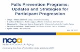 Falls Prevention Programs: Updates and Strategies for ... · (seated knee extension, standing hip abduction, standing knee flexion, toe raises, heel raises) BALANCE EXERCISES (n =