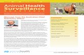 Animal Health Australia - Volume 20 | Issue 4 | …...Animal Health Surveillance Quarterly | Volume 20 | Issue 4 those species were protected against disease but not infection, with