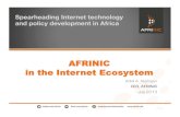 AFRINIC in the Internet EcosystemAFRINIC" 2005 out of ARIN / APNIC / RIPENCC RFC"1174" 1993 1997 1998 ICANN 1992 2003 2005 . BOARD&OFDIRECTORS" West&Africa& North&Africa& Central"Africa