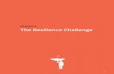 Chapter 5 The Resilience Challenge - Disaster risk reduction€¦ · 78 Part - Chapter 5 5.1 Threats to economic resilience Direct losses from major disasters trigger indirect losses