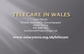 Lee Davis Welsh Assembly Government - NHS Wales Jan 2010.pdf · 2015-11-02 · Emergency plumber. 24 hour . Gas fitter. Emergency Care Support Team. Rapid Response ... TELECARE. MONITORING.
