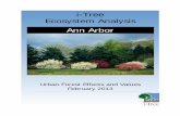 i-Tree Ecosystem Analysis Ann Arbor...I. Tree Characteristics of the Urban Forest The urban forest of Ann Arbor has an estimated 1,451,000 trees with a tree cover of 32.8 percent.