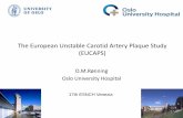 The European Unstable Carotid Artery Plaque Study … EUCAPS omr 20120-05-19.pdfCarotid Artery Plaque Study (EUCAPS) –WHAT: register data which will enable the identification of