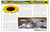 Oilseed Fact Sheet: Oilseed Pressesmachines. Oil from the press is raw oil, and is used either as a food product or as an industrial product. Food products include raw oil in dressings
