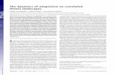 The dynamics of adaptation on correlated ﬁtness landscapes · The dynamics of adaptation on correlated ﬁtness landscapes Sergey Kryazhimskiya,1, Gašper Tkaˇcik a,b,1, and Joshua