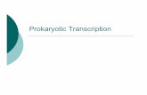 Prokaryotic Transcription - CCSF Home Page€¦ · Transcription Basics DNA is the genetic material Nucleic acid Capable of self-replication and synthesis of RNA RNA is the middle