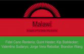 Malawi - MITweb.mit.edu/12.000/www/m2019/project1/Malawi.pdf · Valentino Sudaryo; Jorge Vera Rebollar; Brandon Wang Malawi Impacts of the Green Revolution. Malawi and the Green Revolution