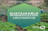 SUSTAINABLE · In sub-Saharan Africa (SSA) a rapidly growing population and increasing food demand, alongside scarcities in resources such as land, water and soil fertility, are compounded