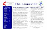 1 The Grapevine - Amazon S3€¦ · Healthier and Happier Lives‖, by Allen S. Teel, M.D. For everyone, ―The Scandalous Message of James: Faith Without Works is Dead‖ by Elsa