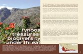 fynbos treasures - SANBI€¦ · frequent fires and the invasion of alien plants. Much of ... which unites government and civil society in a strategy to conserve biodiversity in the
