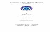 Measurement of Banks Efficiency in Emerging …prr.hec.gov.pk/jspui/bitstream/123456789/11891/1/Abdul...my PhD thesis titled "Measurement of Banks Efficiency in Emerging Economies"