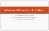 Mechanical Properties of the Heart Contractility Cardiac Cycle 9... · 2014-12-07 · Cardiac Cycle of the Atria Durig diastole atria opperate as passive reservoirs Atrial contraction