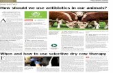 Journal Vet How should we use antibiotics in our animals? · 2019-11-13 · How should we use antibiotics in our animals? This week, Journal vet Tommy Heﬀ ernan talks about the
