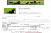 Czech/German working line German Shepherd Dogs …...Copy Right 2012 Vom Haus German Shepherd K9 To the best of my knowledge and belief at the time of sale, the health and temperament