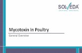 Mycotoxin In Poultry General Overview - Solveda2019/11/01  · Diagnosing Mycotoxicosis › Mycotoxicosis often lead to unspecific symptoms, which can also be caused by many other