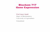 Biochem 717 Gene Expression - molcare.org€¦ · Biochem 717 Gene Expression Prof Amer Jamil Dept. of Biochemistry University of Agriculture ... •The hybrid trc promoter combines