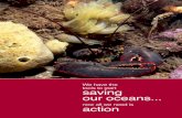 We have the saving our oceans action - WWF-Canadaawsassets.wwf.ca/downloads/wwf_oceans_action_brochure.pdf · endangered species and giving fish stocks space to grow and mature. But